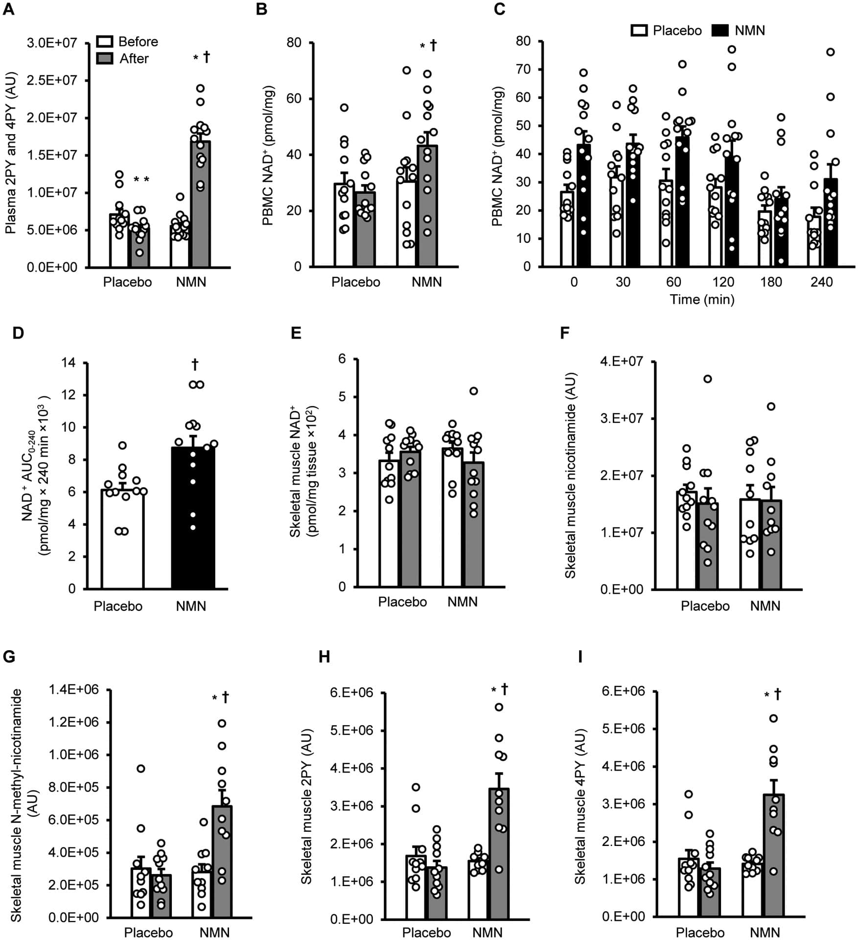 Insulin sensitivity and NMN: overview of NMN and metabolism